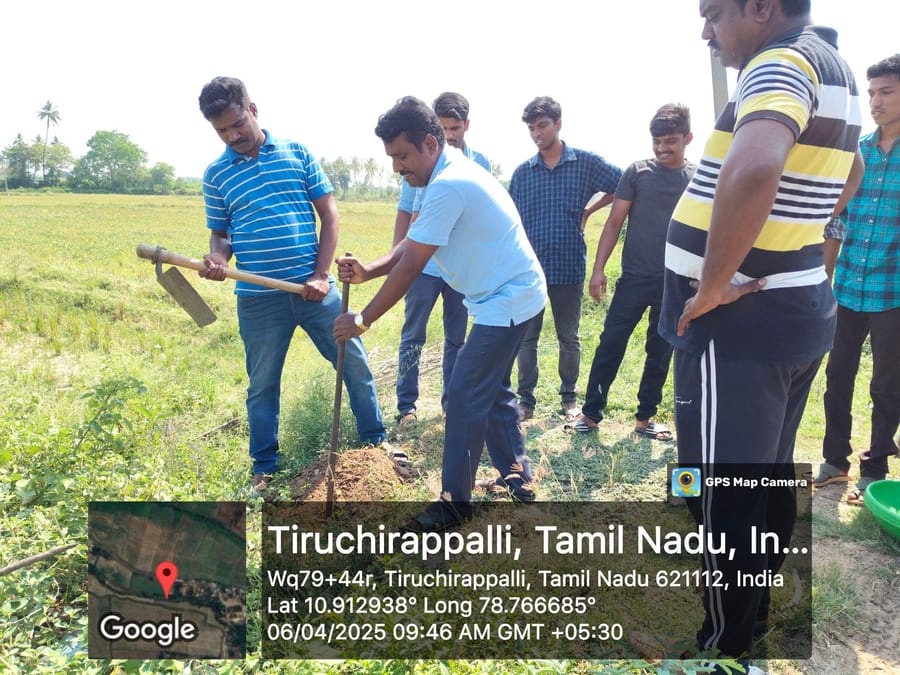 Tree plantation drive